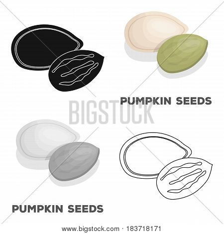 Pumpkin seeds.Different kinds of nuts single icon in cartoon style vector symbol stock web illustration.