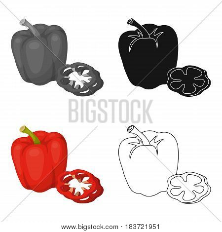Bell pepper.BBQ single icon in cartoon style vector symbol stock illustration .