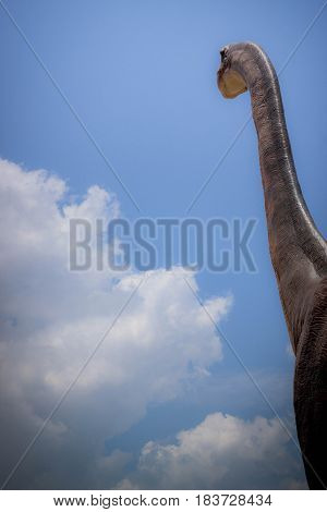 dinosour look fear at hidden village Chiangmai Thailand