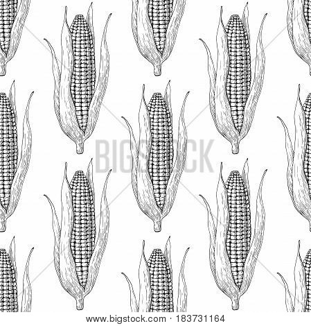 Corn cob hand drawn vector seamless pattern. Isolated Vegetable engraved style wallpaper. Detailed vegetarian food drawing. Farm market product. Great for menu, label, icon