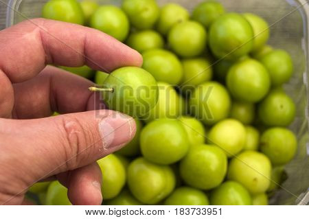 A handful of sour plums,  Salt and plum food is very tasty. There are a handful of sour plums, sour plums for pregnant women, ant women,