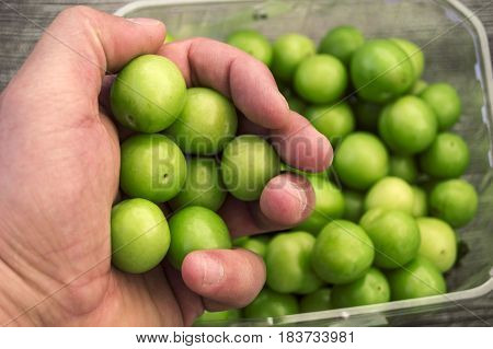 A handful of sour plums,  Salt and plum food is very tasty. There are a handful of sour plums, sour plums for pregnant women, ant women,