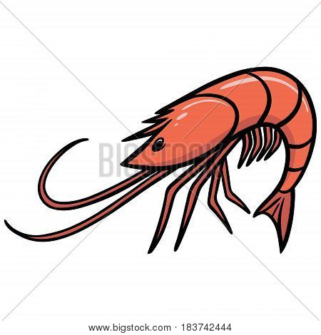 A vector illustration of a Cajun Shrimp.