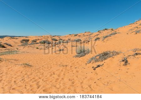 Coral Pink Sand Dunes