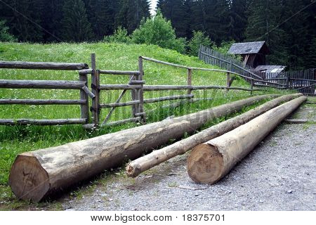  A logs neatly stacked near the fence