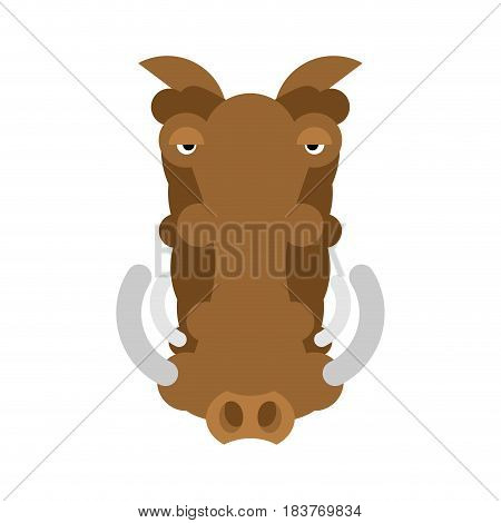 Warthog Wild Boar Isolated. African Pig. Wild Animal On White Background