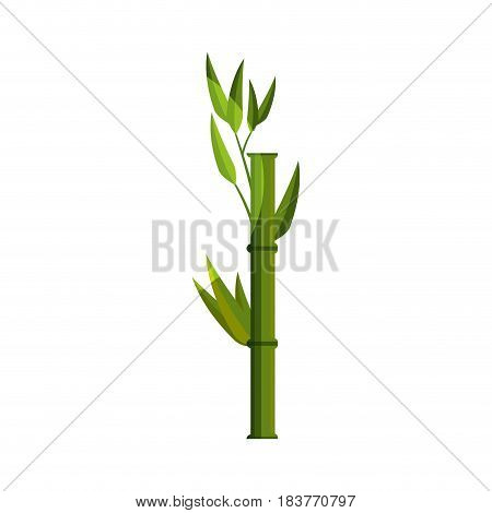 Bamboo japanese tree icon vector illustration graphic design