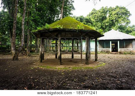 a gazebo with moss and ferns on the roof and pillars made from wood photo taken in ragunan zoo jakarta indonesia java