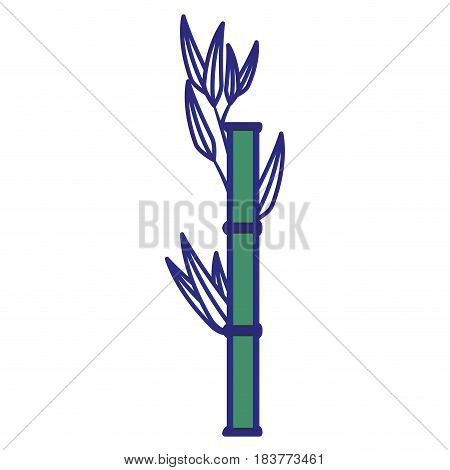Bamboo japanese tree icon vector illustration graphic design