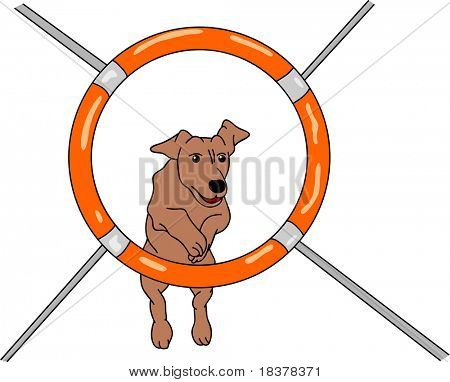 arka planda izole vektör - köpek çeviklik,