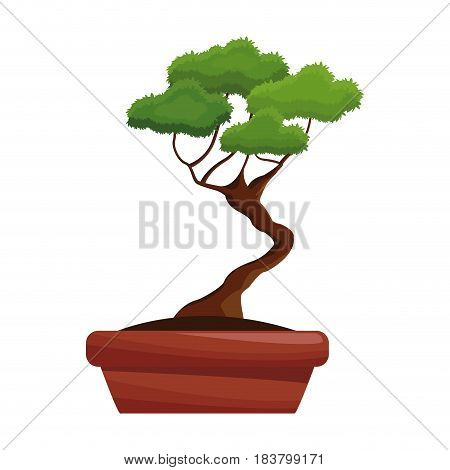 pot tree bonsay longevity botanical hobby vector illustration