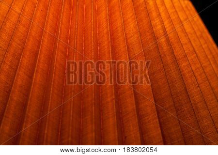 Close up of part of bright edgy wooden surface