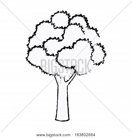 tree foliage wood branch botancial sketch vector illustration