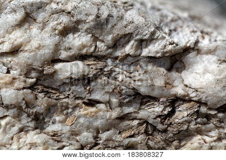 Macro photo of weathered mica minerals in coarse grained quartz rock.