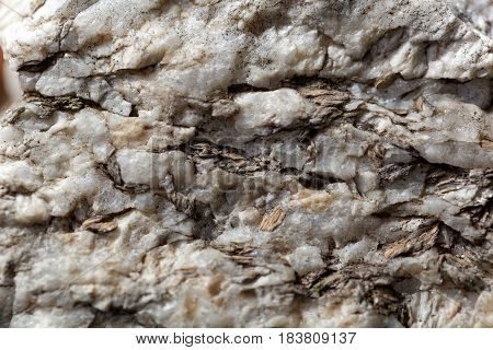 Macro photo of weathered mica minerals in coarse grained quartz rock.