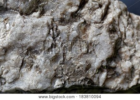 Macro photo of weathered mica minerals in coarse grained quartz rock.