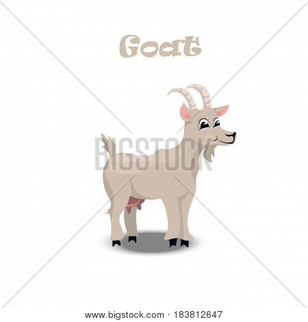 Original vector illustration of farm pet goat , cattle, milk and goat meat. original trendy vector illustration of a brown horse. Farm animals collection