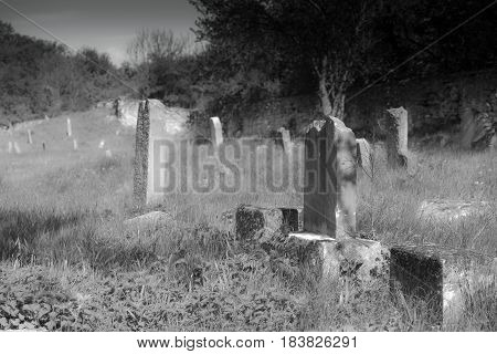 Gravestones in old cemetery black and white