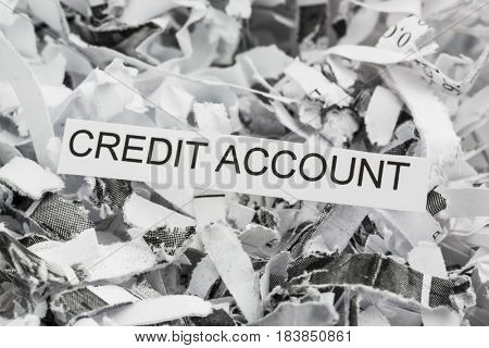 shredded paper credit account