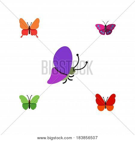 Flat Butterfly Set Of Milkweed, Monarch, Summer Insect And Other Vector Objects. Also Includes Archippus, Milkweed, Moth Elements.