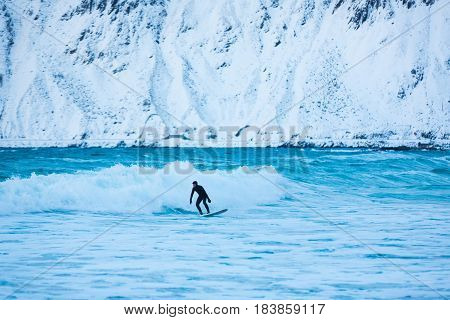 Flakstad Norway - March 18 2017: Surfer are training on the Skagsanden beach of the Lofoten Islands