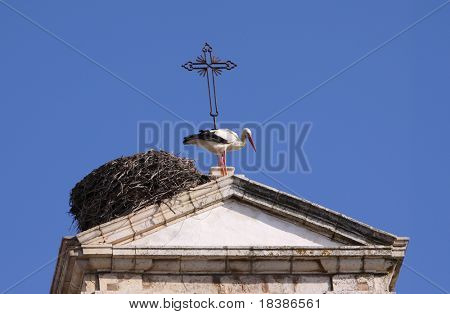 cicogna nel nido sulla cima di un churge