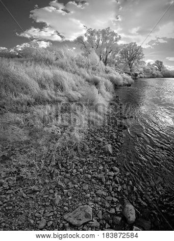 Landscape in infrared light. Vertical panorama of the river bank.