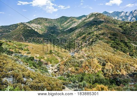 View To Valley In Sequoia National Park With River Kaweah