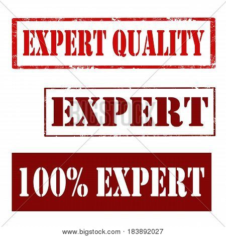 Set of stamps with text Expert,Expert Quality and 100% Expert,vector illustration