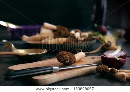 Still llife with raw morels on the dark background