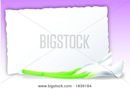 Invitacion Lirios Grandes.Ai