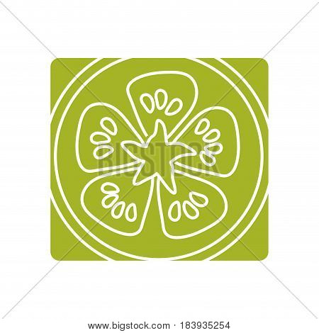 picture fresh slice limon organ vegetable, vector illustration