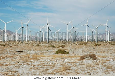 California Power