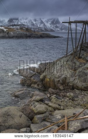 Traditional Norwegian Cod Drying Pole Constructions at Lofoten Islands in Norway.Vertical Image