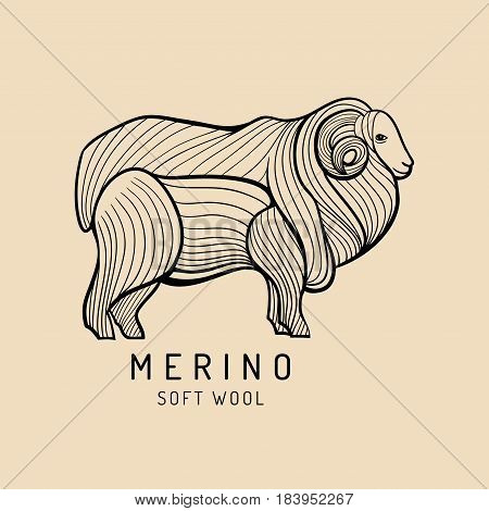 Merino sheep logo, label. Vector ram illustration. Ewe soft wool sign. Fleece icon background