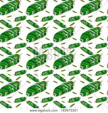 tropical leaves on white background, seamless pattern with banana leaves