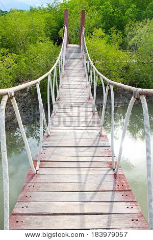 Rope brdige in mangrove forest in National Park Thailand