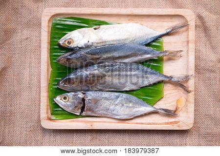 Fresh of Thai mackerel fish on wooden tray