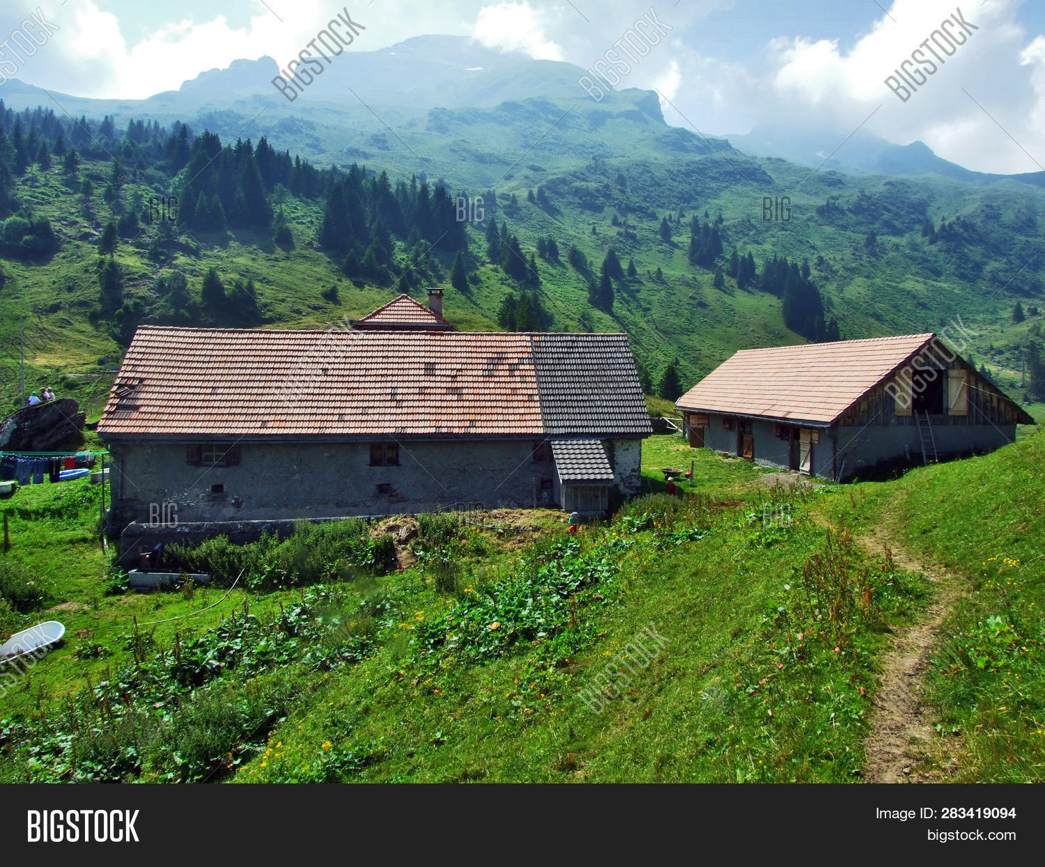 Alpine Livestock Farms Image & Photo (Free Trial) | Bigstock