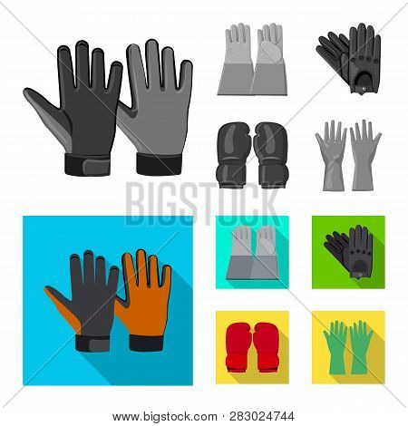 Vector Design Of Glove And Winter Icon. Set Of Glove And Equipment Vector Icon For Stock.