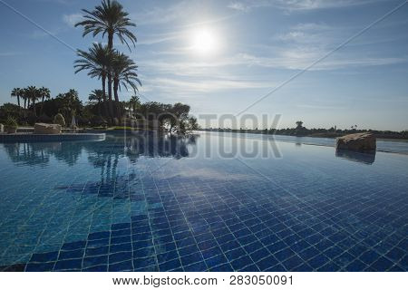 Tall Large Date Palm Tree Phoenix Dactylifera In Infinity Swimming Pool At Luxury Tropical Hotel Res