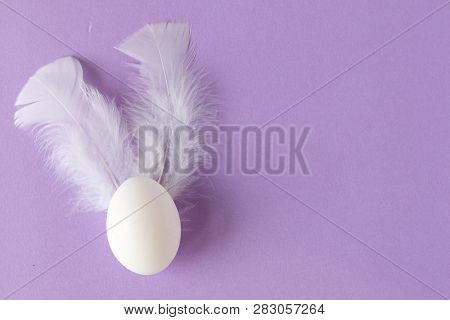 Easter Egg With White Feathers. Colorful Easter Background . Easter Postcard