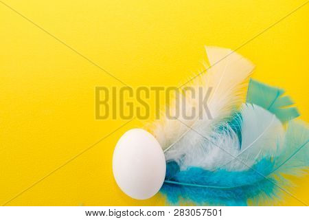 Easter Egg With White Feathers. Colorful Easter Background . Easter Postcard