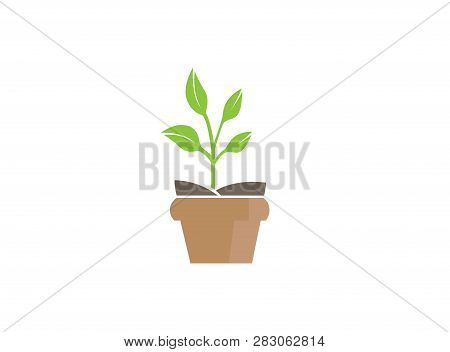 Plant In The Pot With Some Leaves For Logo Design