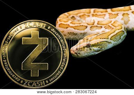 Concept Yellow Snake And Coin Cryptocurrency Zcash.