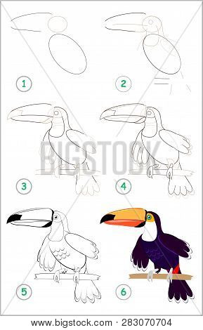 Page Shows How To Learn Step By Step To Draw A Cute Toucan. Developing Children Skills For Drawing A