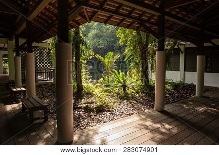 Singapore - December 2018: View To The Beautiful Nature From Inside Building At The Sungei Buloh Wet