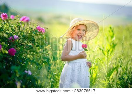 A Little Girl Wearing Flower Yellow Dress With White Hat And Stand In The Yellow Flower Field Of Sun