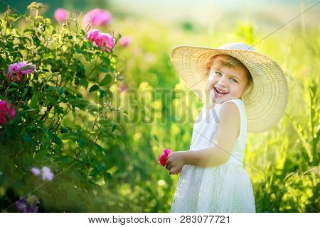 A Little Girl Wearing Flower Yellow Dress With White Hat And Stand In The Yellow Flower Field Of Sun