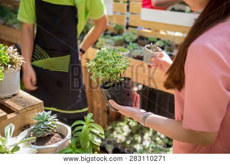 Customer Ask Gardener About Plants In The Garden Center